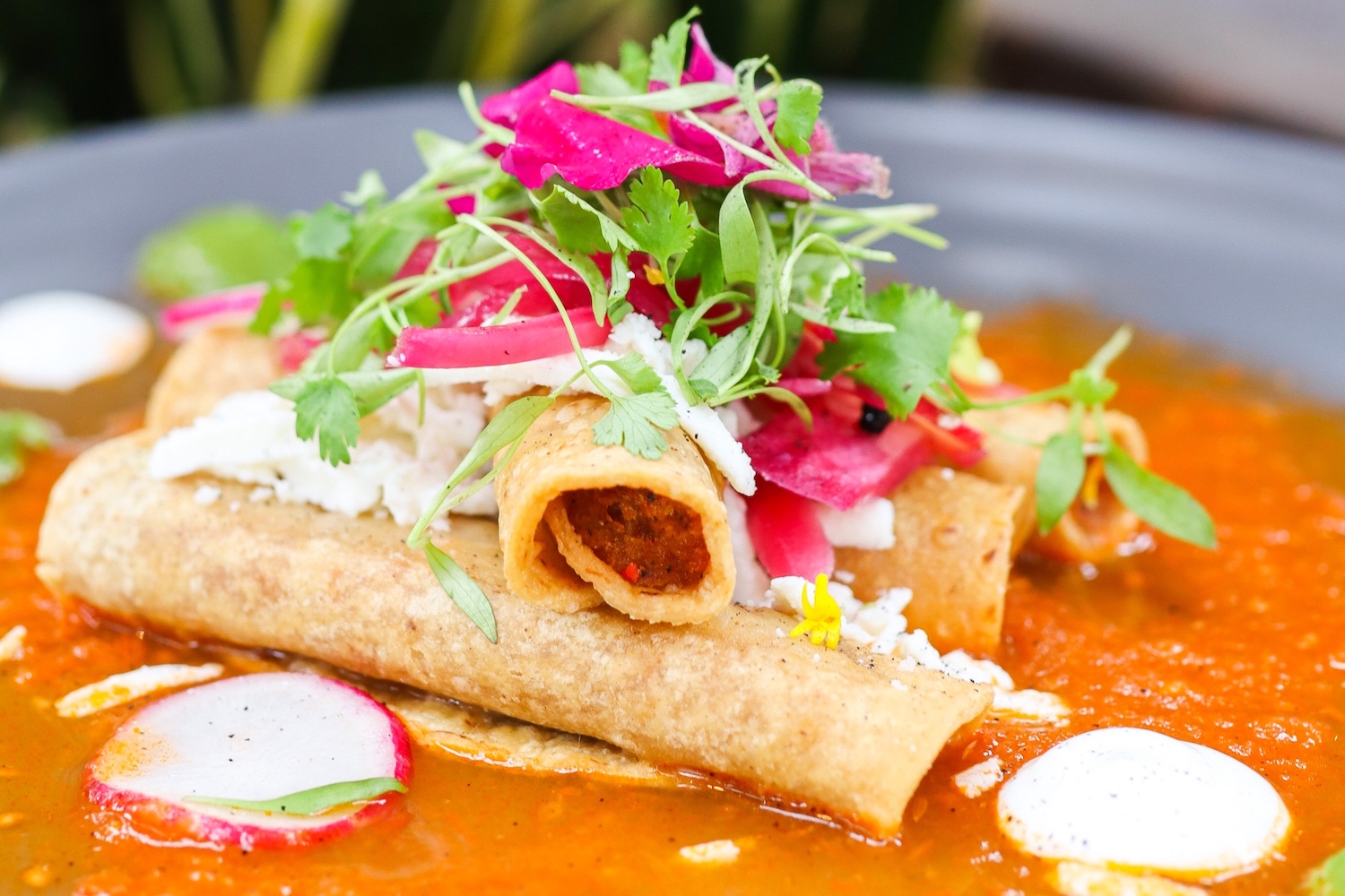 Cocina%20de%20barrio %20taquitos%20dorados